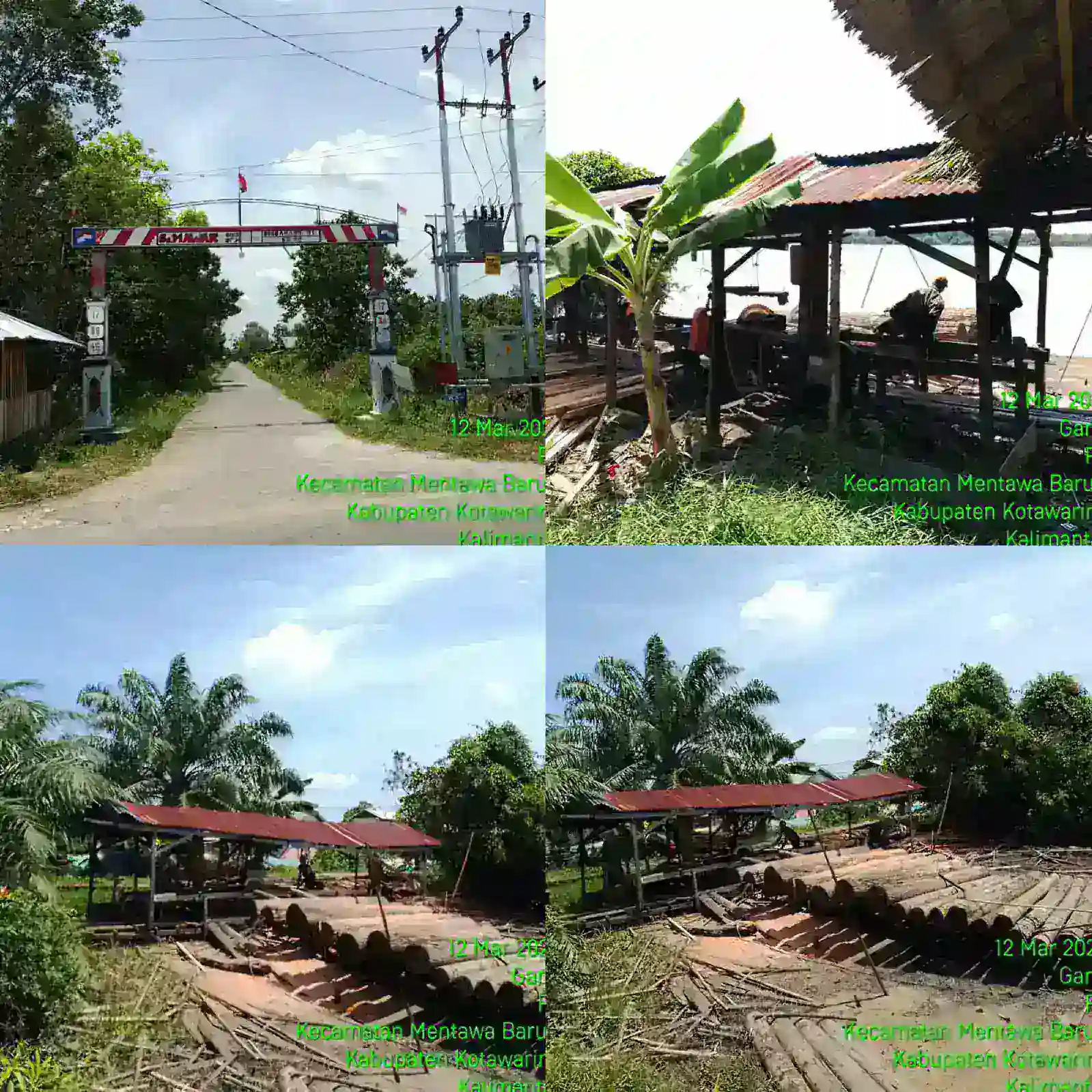 DIDUGA ILEGAL LOGGING BEBAS BEROPERASI DI DESA PELANGSIAN
