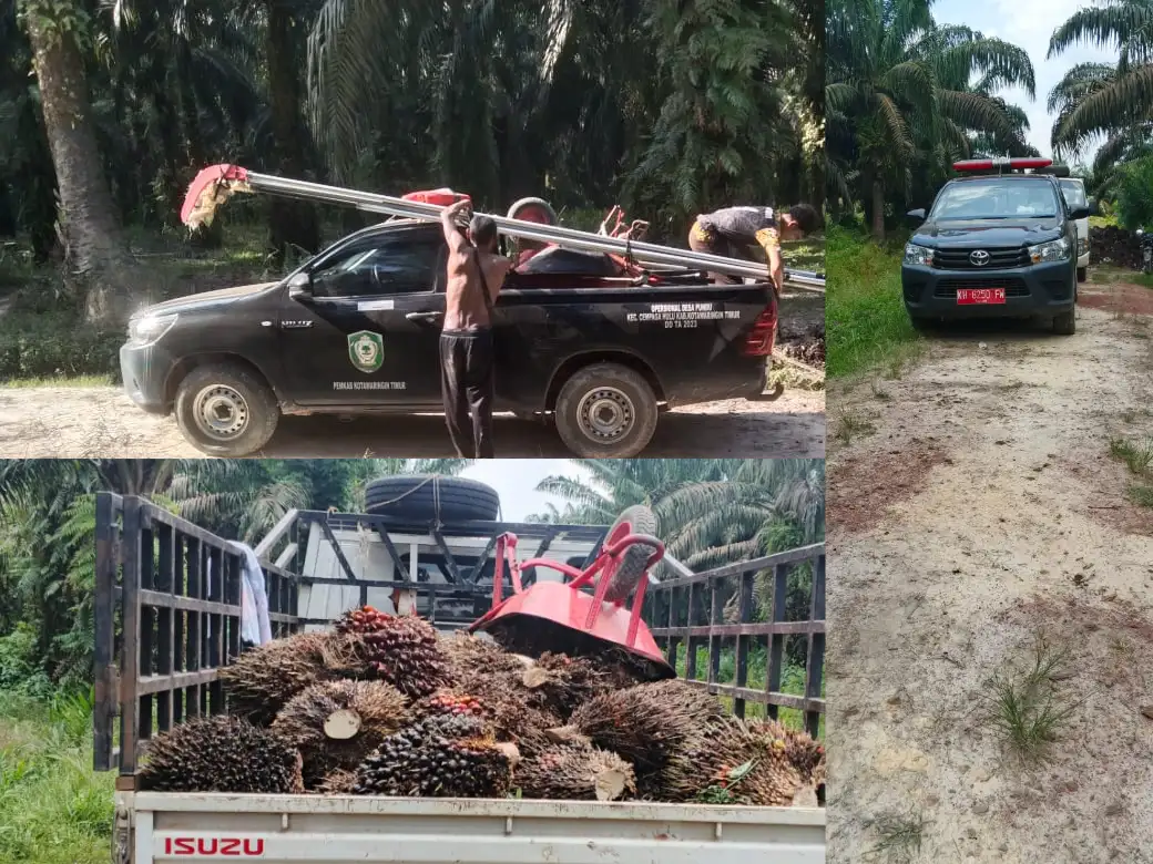 SKANDAL DUGAAN PENJARAHAN LAHAN AGRINAS MENGUAT