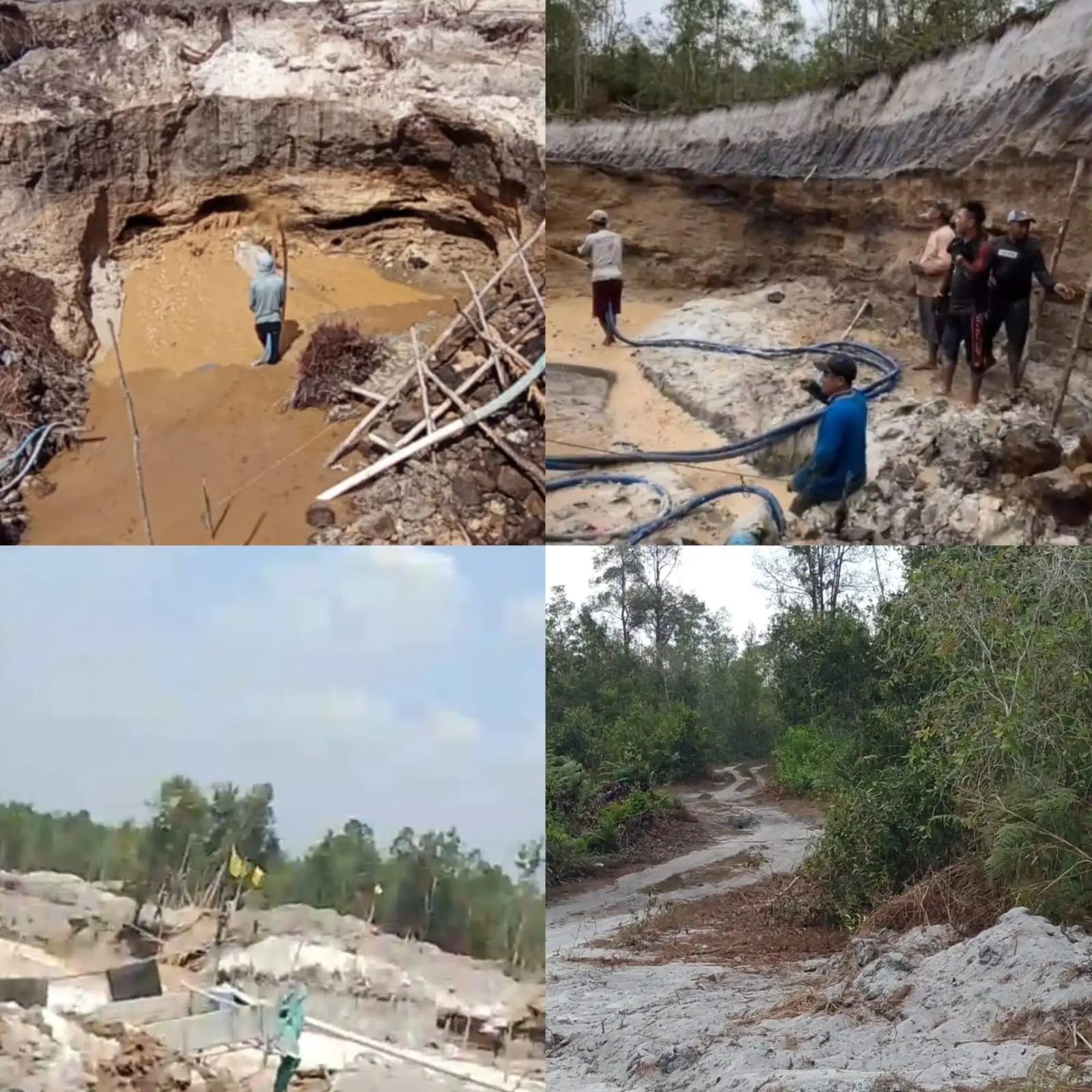 Peti llegal Dibatas Desa Palangan Rasau Tumbuh Kian Marak Hingga Saat Ini Belum Tersentuh APH.