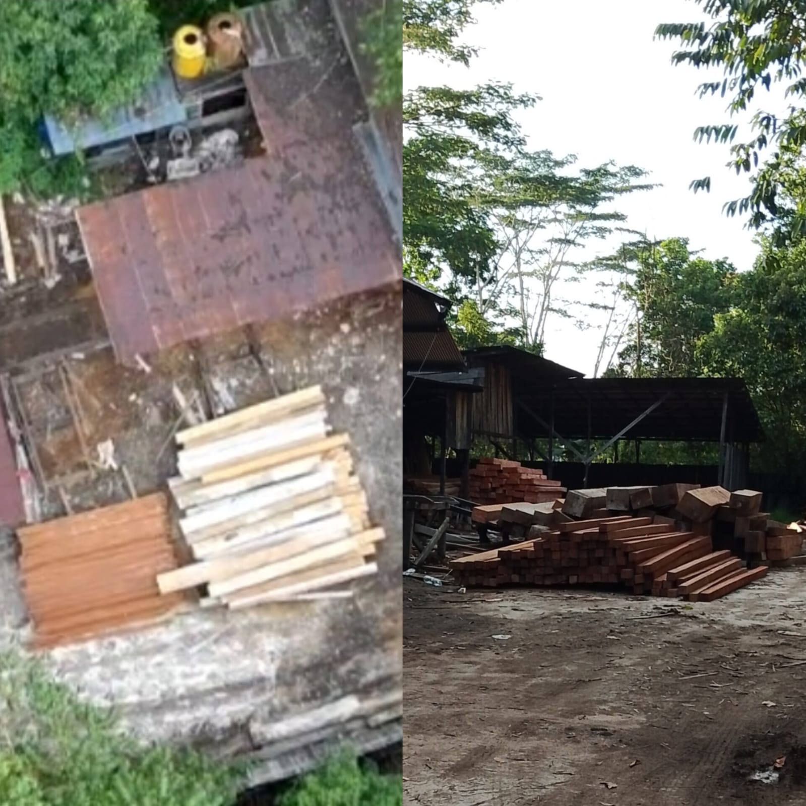 Puluhan Kubik Kayu Plat 20x20 DidugaPuluhan Kubik Kayu Plat 20x20 Diduga Hasil Ilegal Logging APH Terkesan Tutup Mata