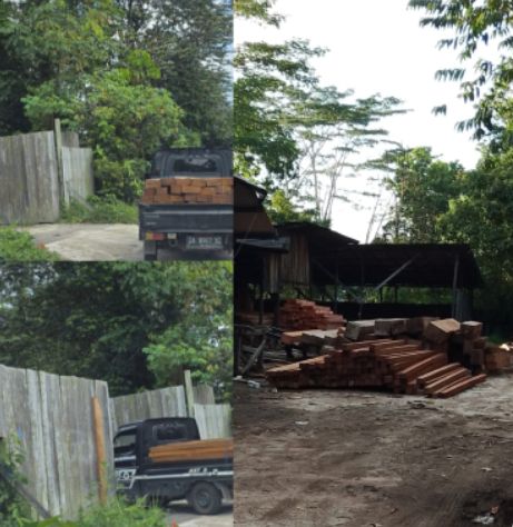 Aktivitas Bandsaw  Diduga Ilegal Kembali Menjadi Sorotan Warga