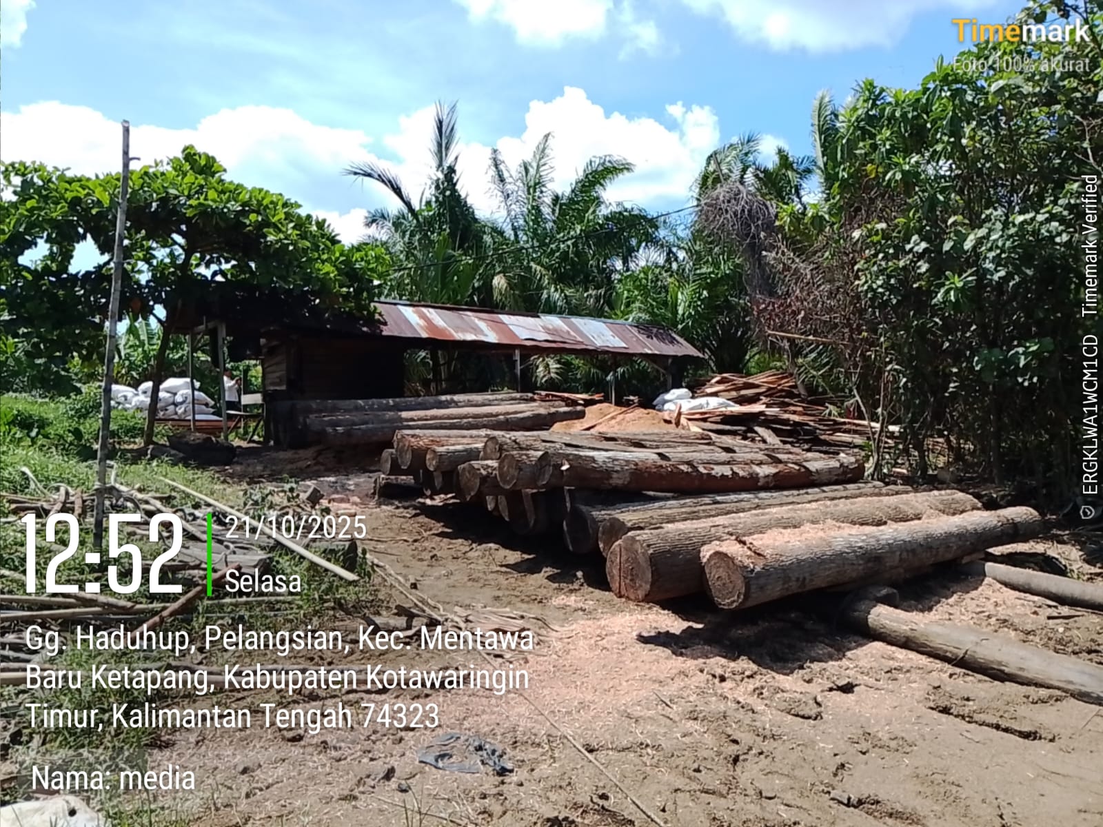 Pembalakan Liar di Das Sungai Mentaya Kian Marak Diminta APH Tindak Para Pelakunya.