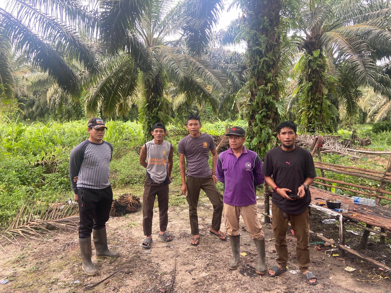Gaji Dua Bulan Tak Dibayar, 33 Security Ancam Kuasai Lahan Sitaan Negara yang Dikelola KSO CV Ivan Group